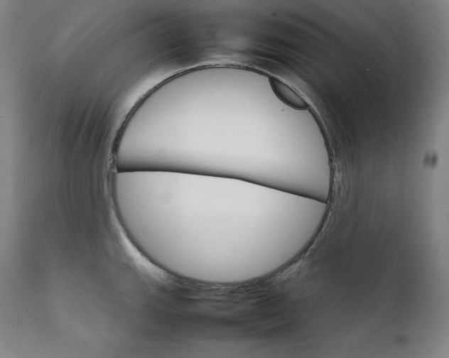 X0000111211143200907151432