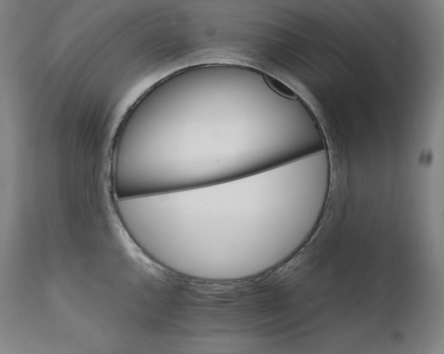 X0000111211144200907151432