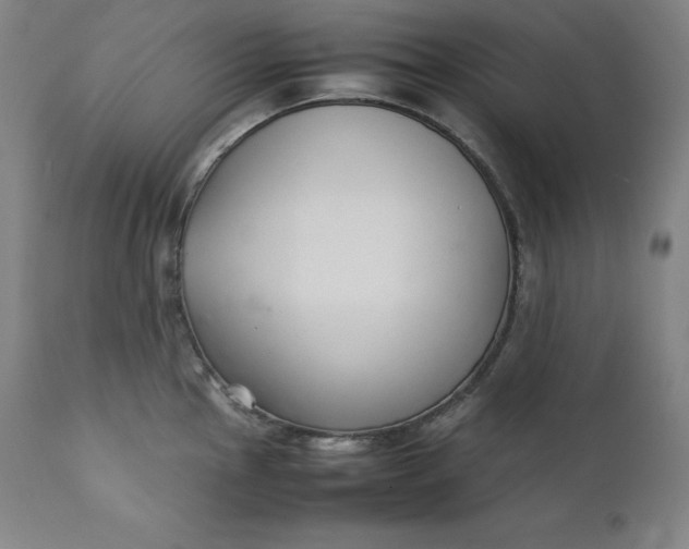 X0000111211145200907151432