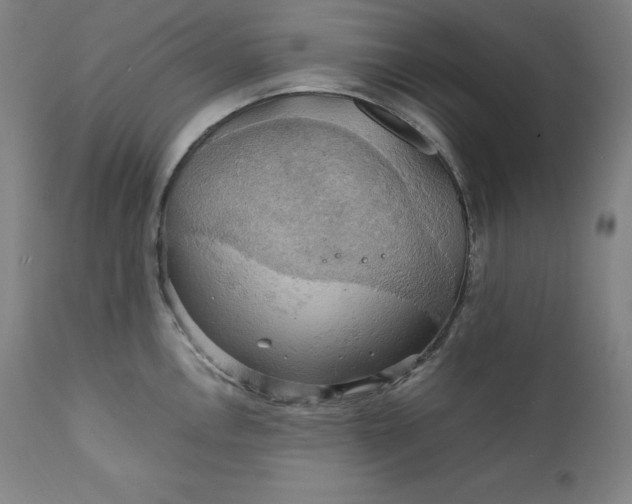 X0000111211146200907151432