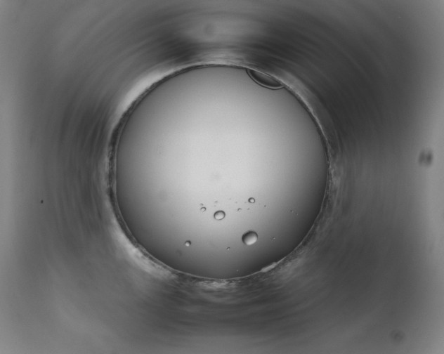 X0000111211147200907151432