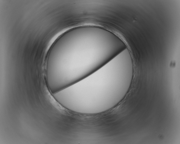 X0000111211148200907151432