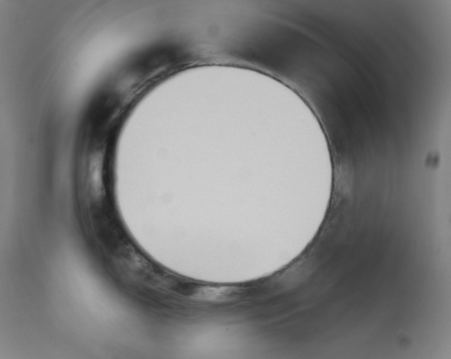 X0000111211150200907151432