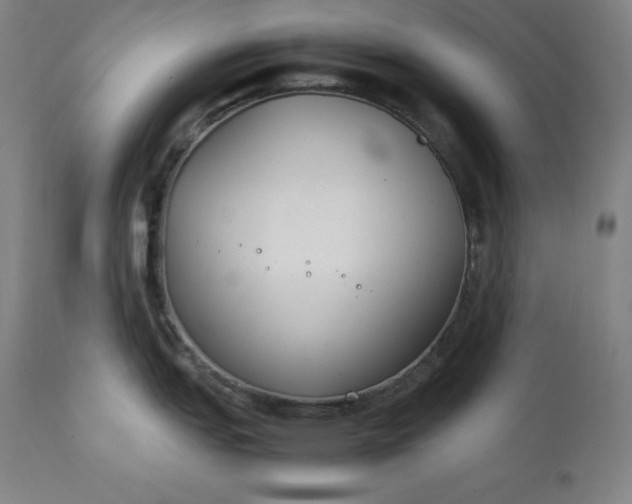 X0000111211151200907151432