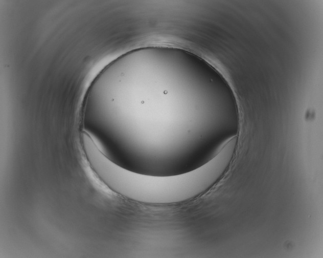 X0000111211152200907151432