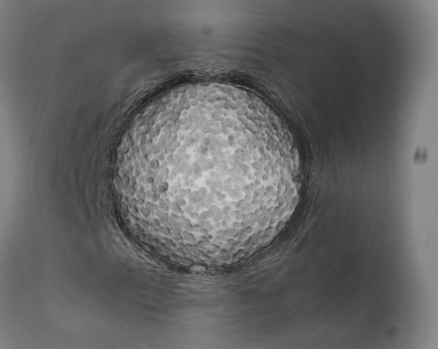 X0000111211153200907151431