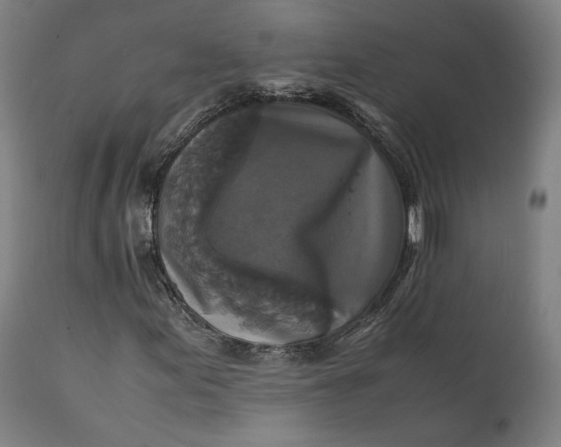 X0000111211155200907151431