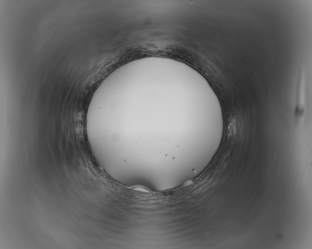 X0000111211156200907151431