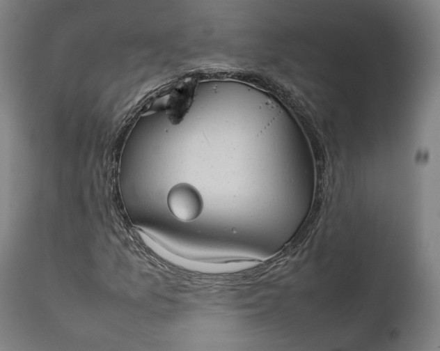 X0000111211157200907151431