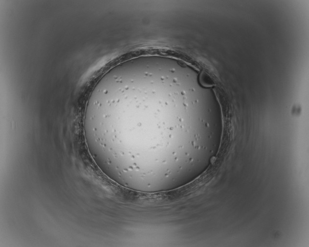 X0000111211159200907151431