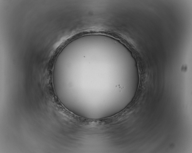 X0000111211160200907151431