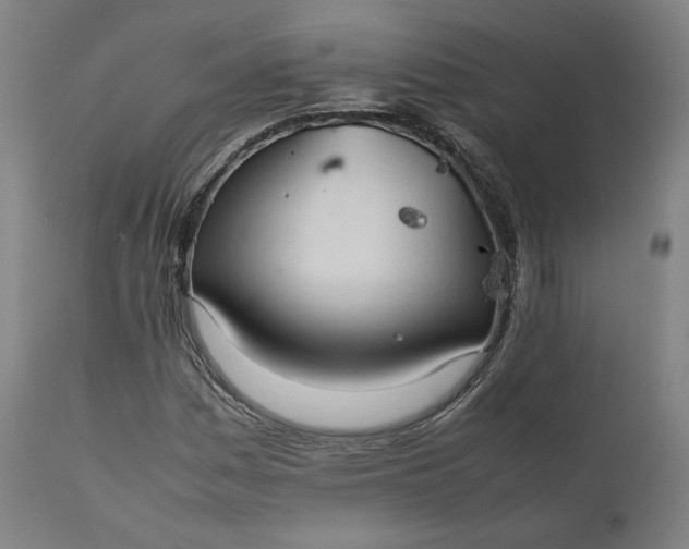 X0000111211161200907151431