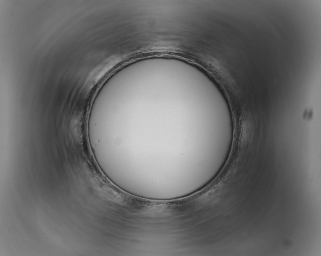 X0000111211162200907151431