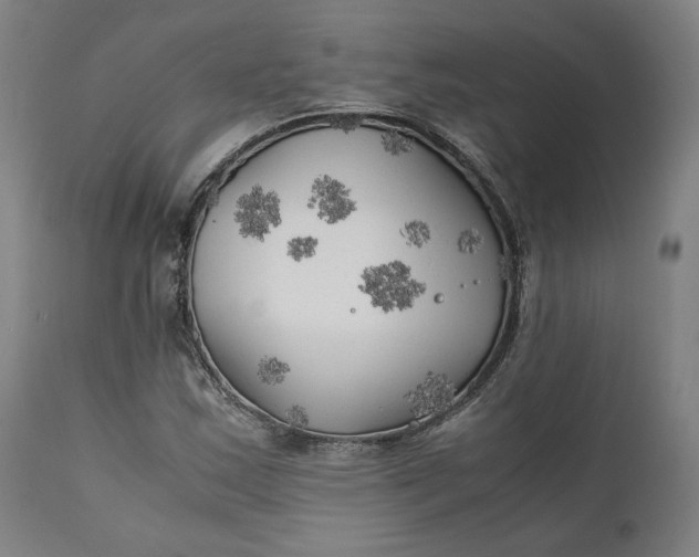 X0000111211163200907151431