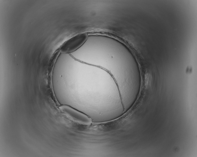 X0000111211165200907151431