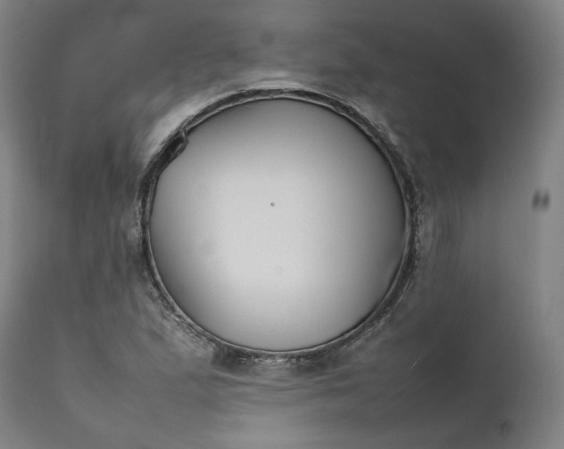 X0000111211167200907151431