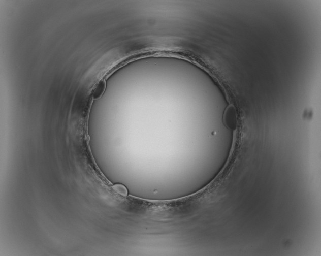 X0000111211169200907151431