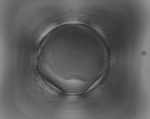 X0000111211173200907151431