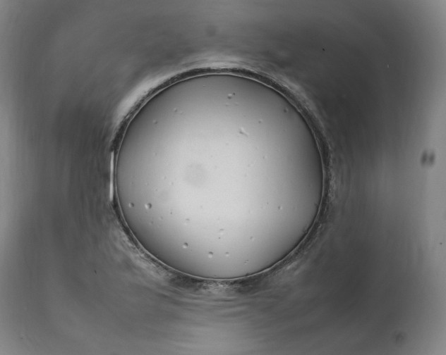 X0000111211175200907151431