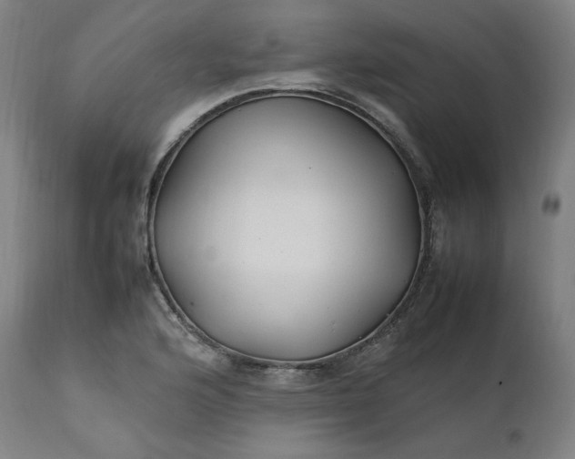 X0000111211176200907151430