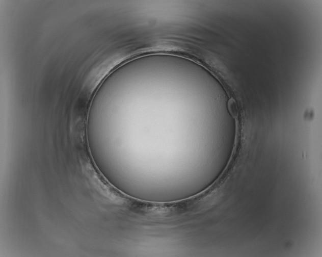 X0000111211177200907151430