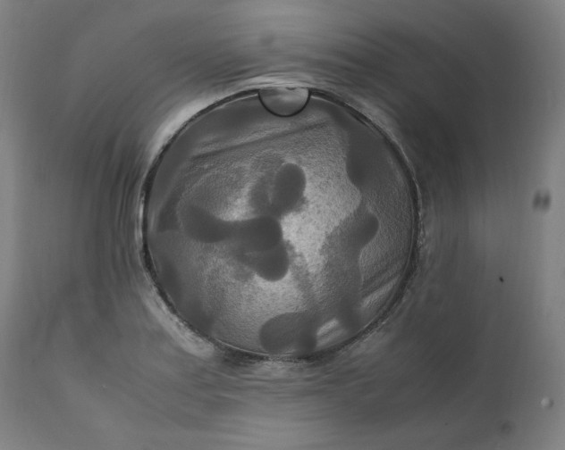 X0000111211179200907151430