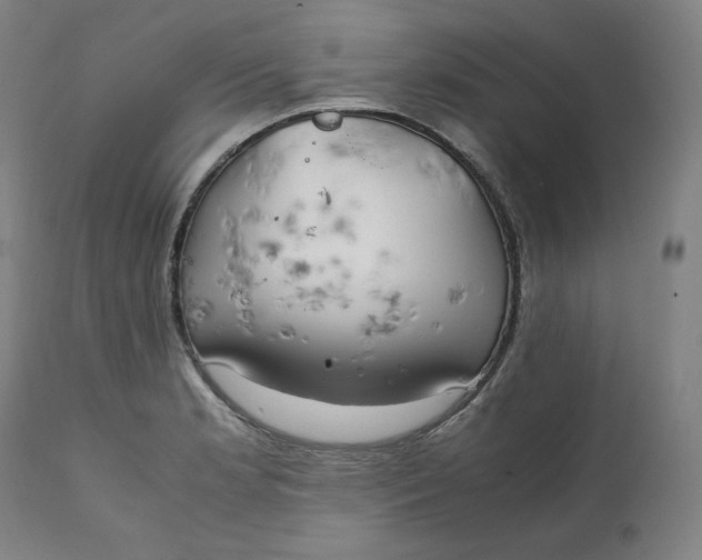 X0000111211181200907151430