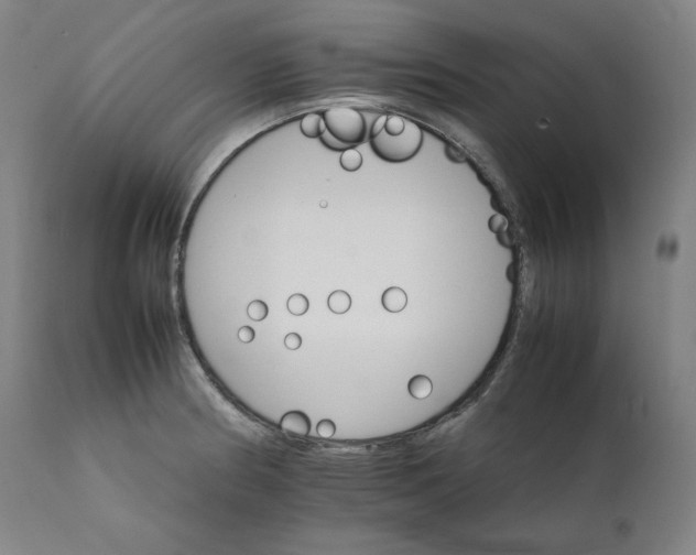 X0000111211186200907151430