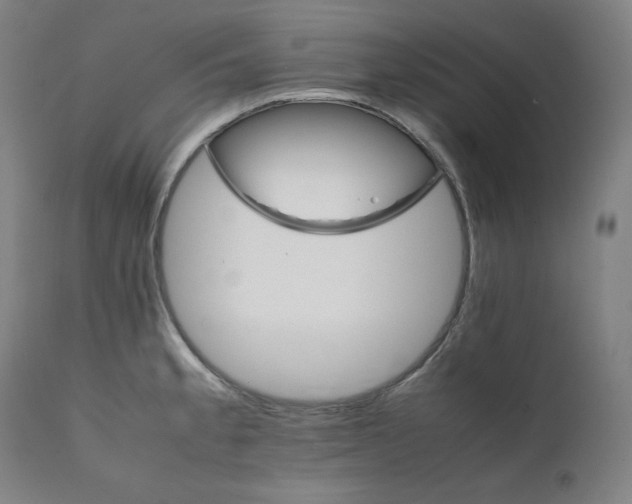 X0000111211189200907151430