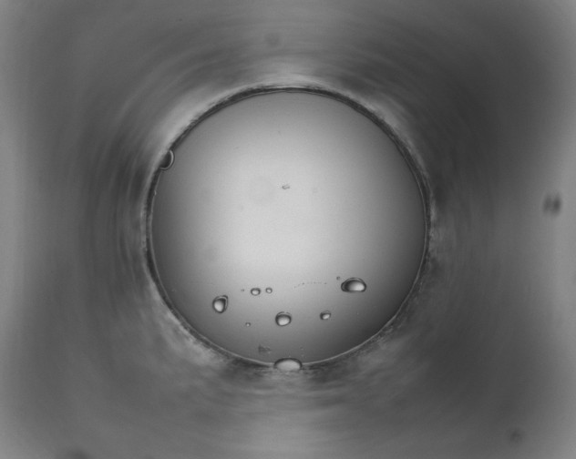 X0000111211191200907151430