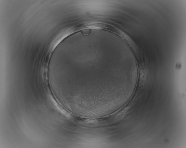 X0000111211194200907151430