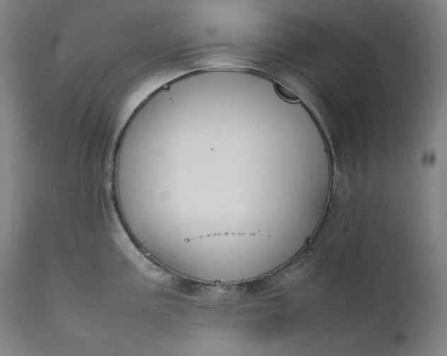 X0000111211195200907151430