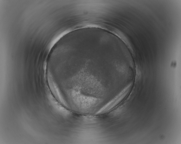 X0000111211198200907151430