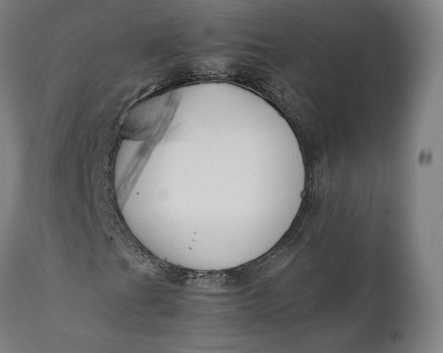 X0000111211201200907151429