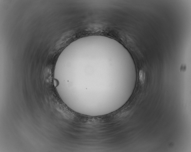 X0000111211203200907151429