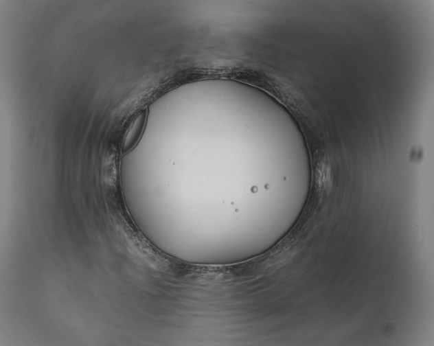 X0000111211204200907151429