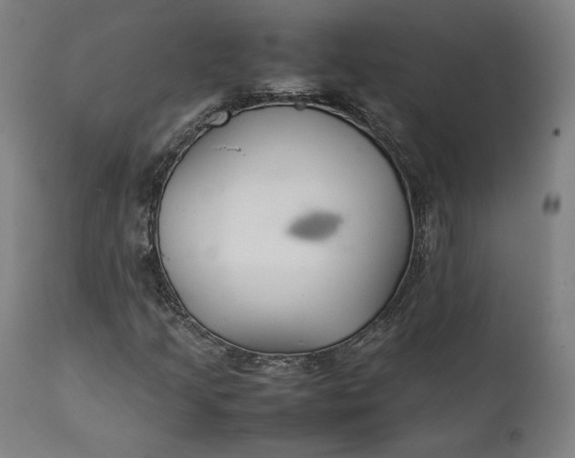 X0000111211205200907151429