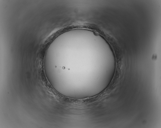 X0000111211206200907151429