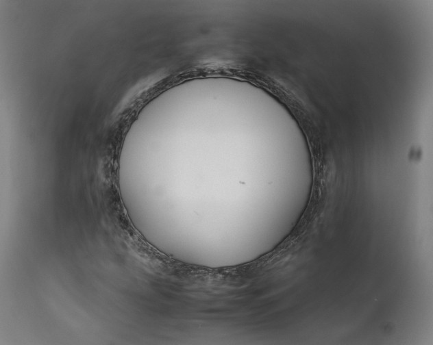 X0000111211207200907151429