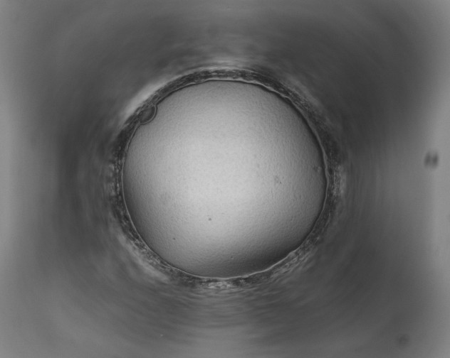 X0000111211208200907151429