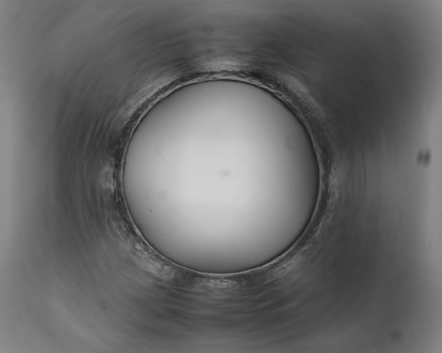 X0000111211209200907151429