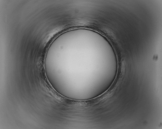 X0000111211210200907151429