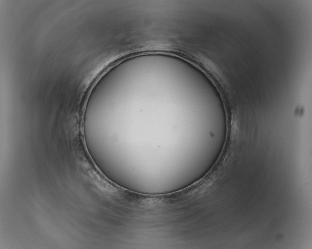 X0000111211212200907151429