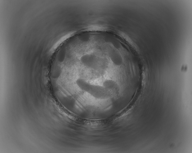 X0000111211213200907151429