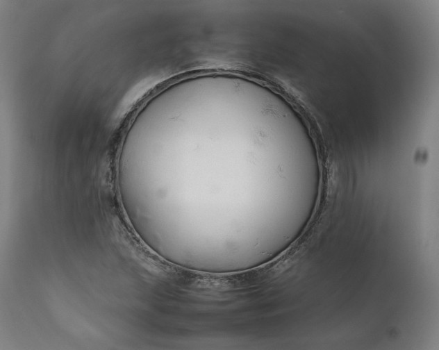 X0000111211215200907151430