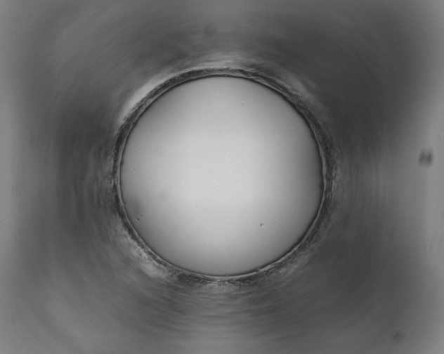 X0000111211216200907151430