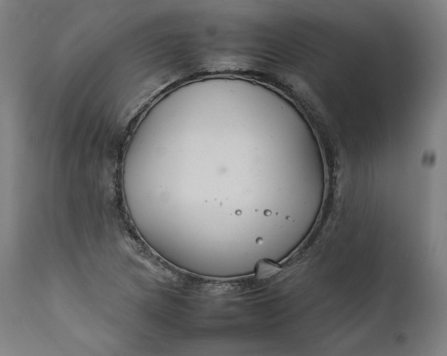 X0000111211217200907151430