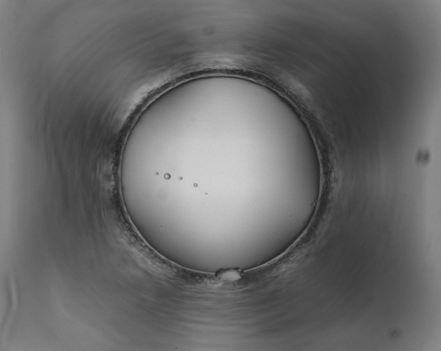 X0000111211218200907151430