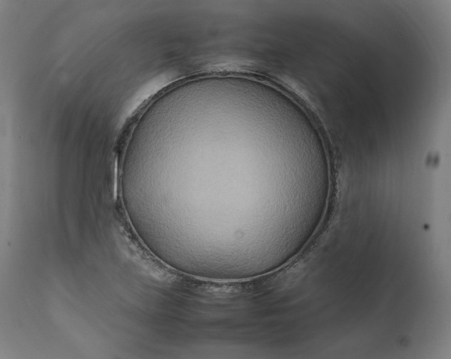 X0000111211219200907151430