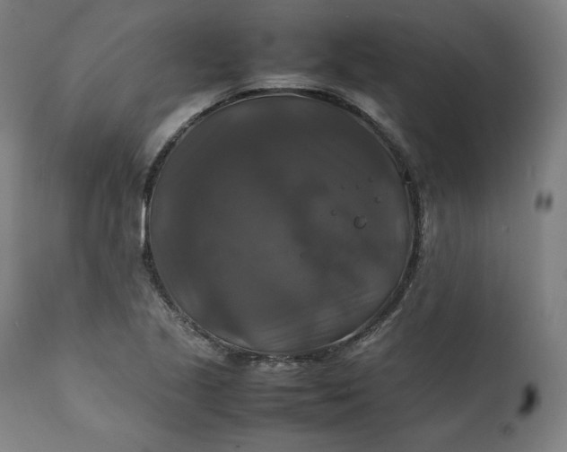 X0000111211221200907151430